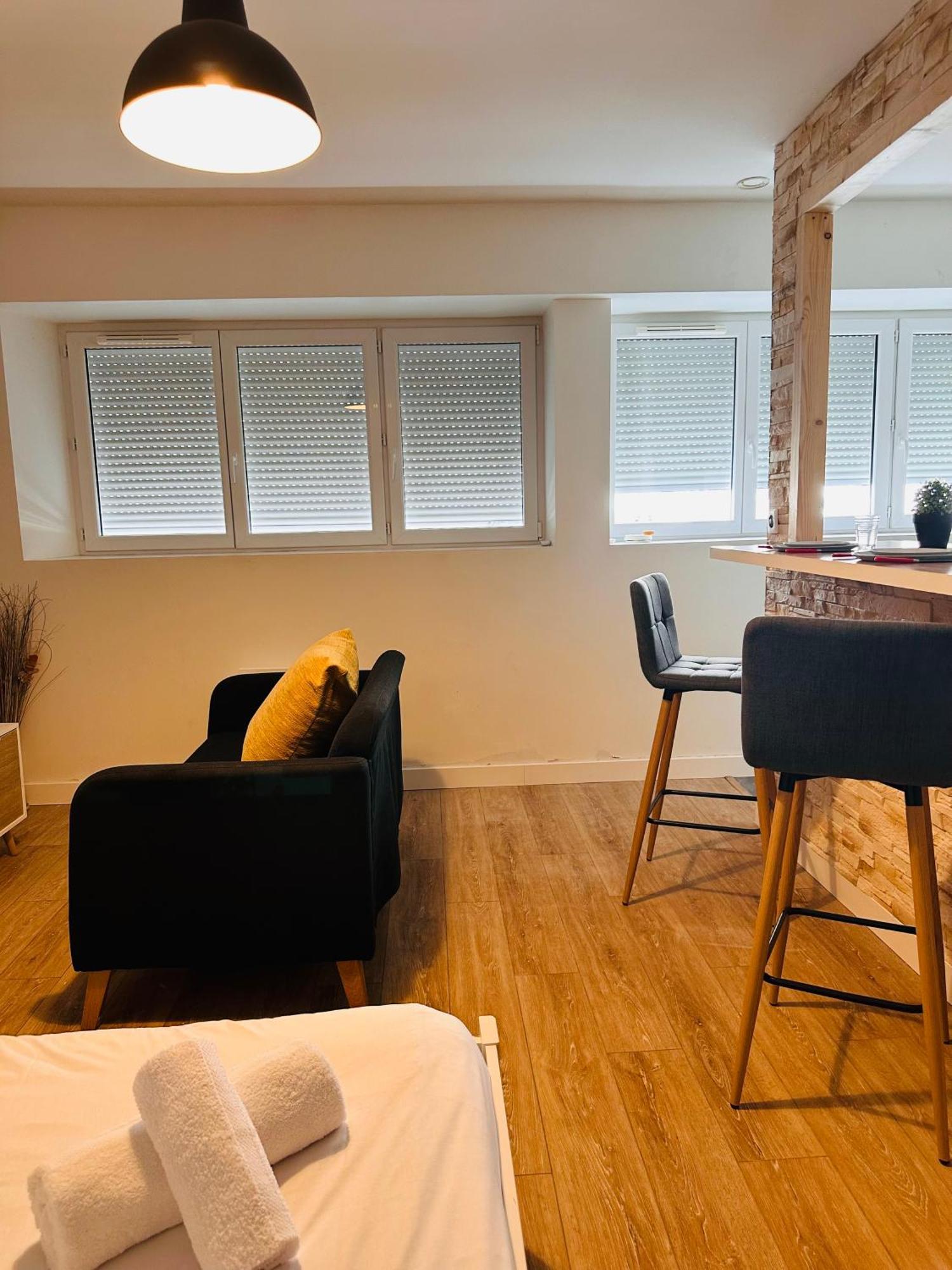Appartement Cosy Proche De Toutes Les Commodites Орлеан Экстерьер фото